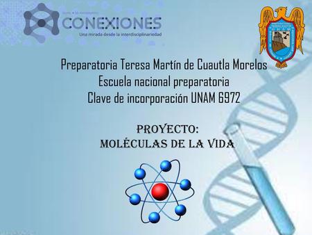 Preparatoria Teresa Martín de Cuautla Morelos
