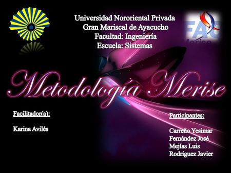 Metodología Merise Universidad Nororiental Privada