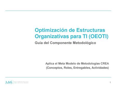 Optimización de Estructuras Organizativas para TI (OEOTI)