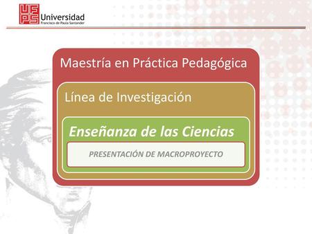 PRESENTACIÓN DE MACROPROYECTO