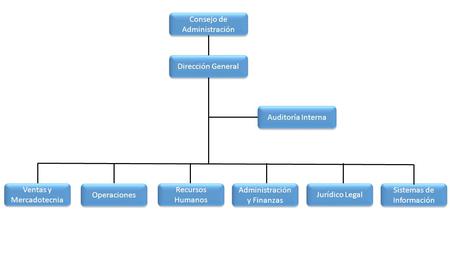 Consejo de Administración Dirección General Auditoría Interna Ventas y Mercadotecnia Operaciones Recursos Humanos Administración y Finanzas Jurídico Legal.
