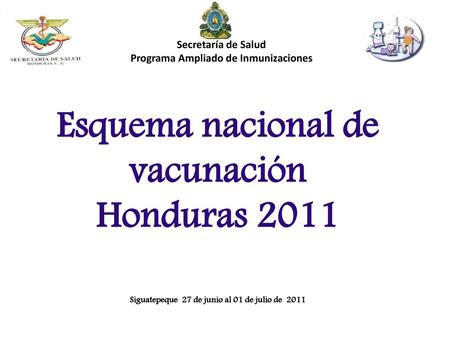 Programa Ampliado de Inmunizaciones