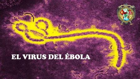 EL VIRUS DEL ÉBOLA.