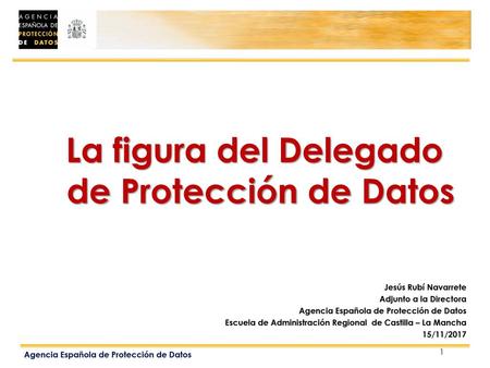 La figura del Delegado de Protección de Datos