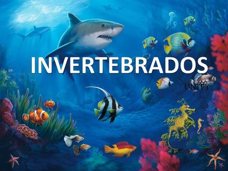 INVERTEBRADOS UNIT 1.