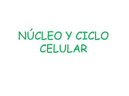 NÚCLEO Y CICLO CELULAR.