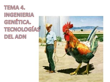 TEMA 4. INGENIERIA GENÉTICA. TECNOLOGÍAS DEL ADN