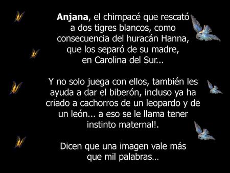que los separó de su madre, en Carolina del Sur...