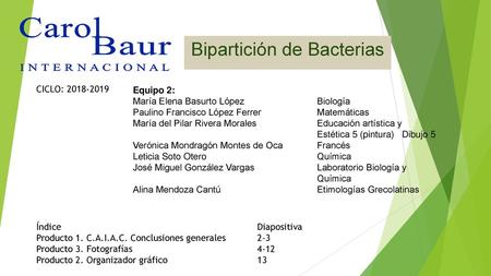 Bipartición de Bacterias
