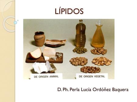 D. Ph. Perla Lucía Ordóñez Baquera