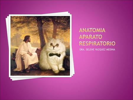ANATOMIA APARATO Respiratorio