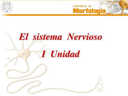 El sistema Nervioso I Unidad.