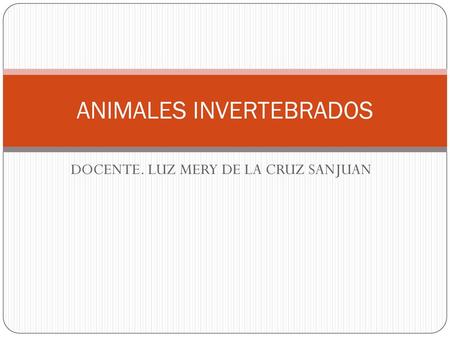 ANIMALES INVERTEBRADOS