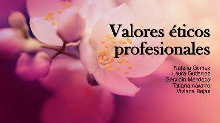 Valores éticos profesionales