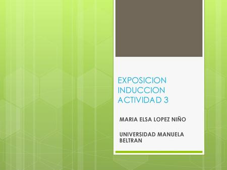 EXPOSICION INDUCCION ACTIVIDAD 3