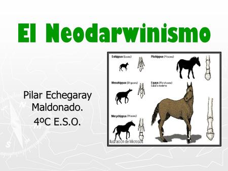 Pilar Echegaray Maldonado. 4ºC E.S.O.