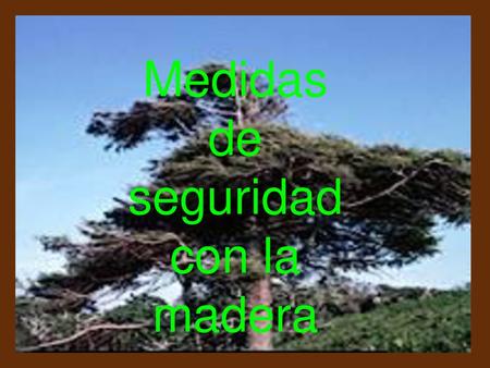 Medidas de seguridad con la madera