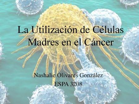 La Utilización de Células Madres en el Cáncer