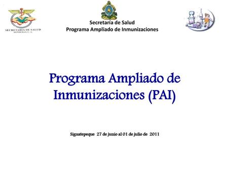Programa Ampliado de Inmunizaciones