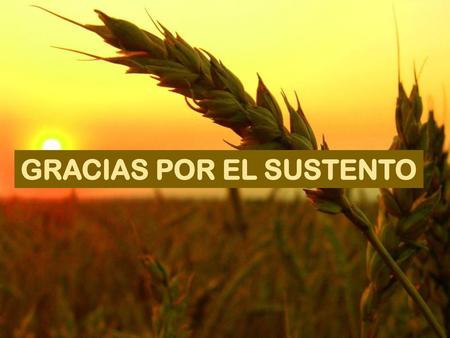 GRACIAS POR EL SUSTENTO