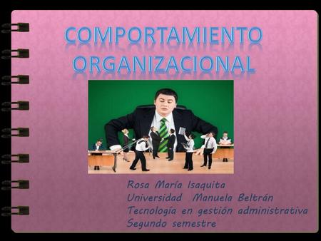 Comportamiento organizacional