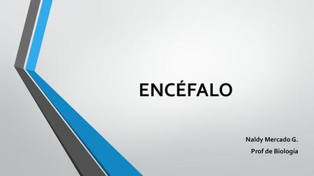 Naldy Mercado G. Prof de Biología