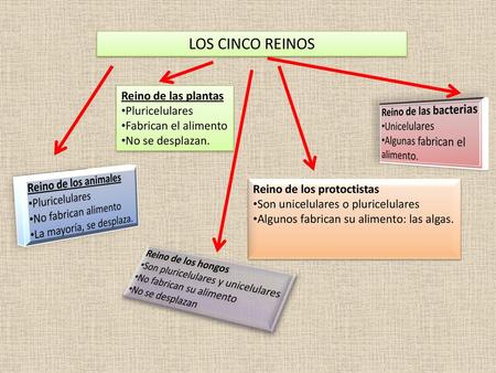 LOS CINCO REINOS Reino de las plantas Pluricelulares