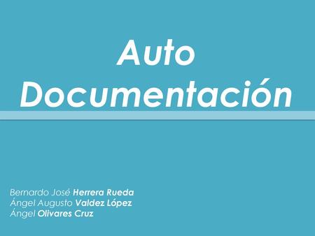 Auto Documentación Bernardo José Herrera Rueda