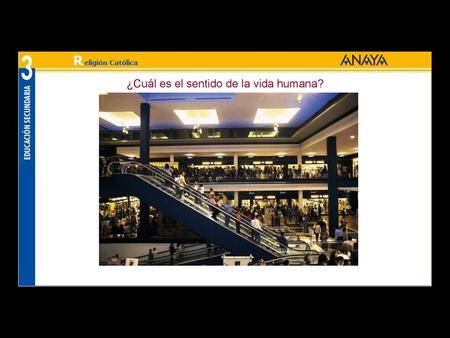 ¿Cuál es el sentido de la vida humana?