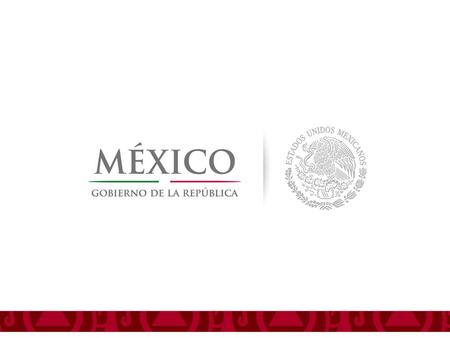 DIRECCION GENERAL DE PROTECCIÓN CIVIL