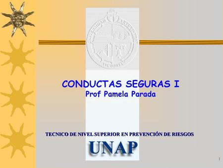 CONDUCTAS SEGURAS I Prof Pamela Parada