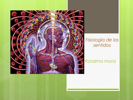 Fisiología de los sentidos