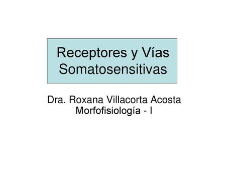 Receptores y Vías Somatosensitivas