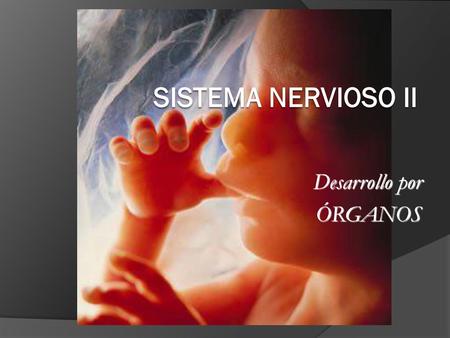 Desarrollo por ÓRGANOS