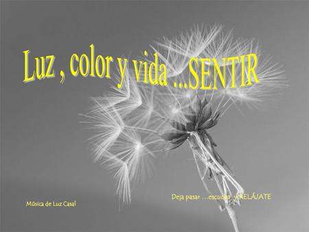 Luz , color y vida ...SENTIR Deja pasar …escucha y RELÁJATE