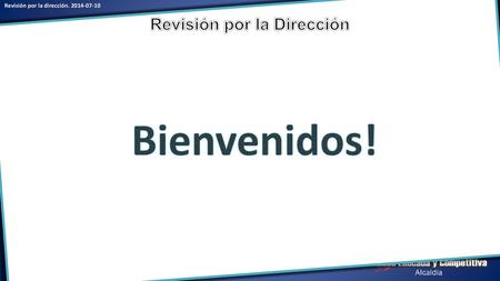 Revisión por la Dirección