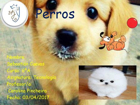 Perros Nombre: Sebastián Cuevas Curso: 6ºA Asignatura: Tecnología