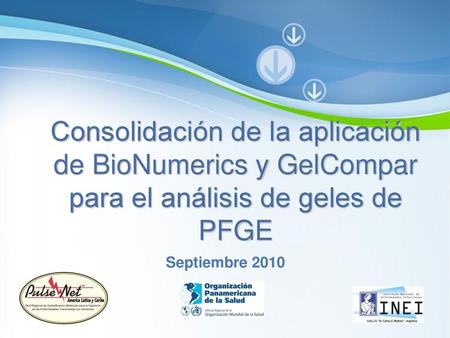 Consolidación de la aplicación de BioNumerics y GelCompar para el análisis de geles de PFGE Septiembre 2010.