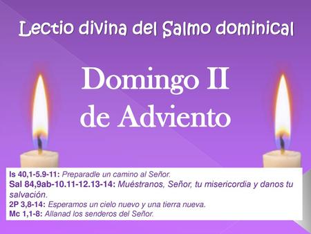 Lectio divina del Salmo dominical