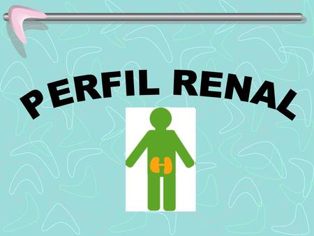 PERFIL RENAL.