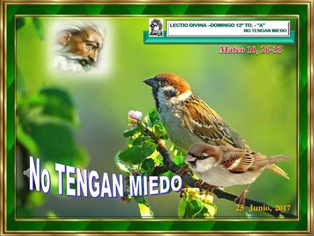 Mateo 10, 26-33 No TENGAN MIEDO 25 Junio, 2017.