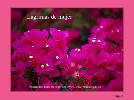 Descarga más Diapositivas en :