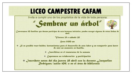 “Sembrar un árbol” Liceo campestre cafam