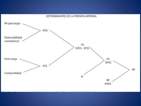 Mecanismos hemodinámicos. Baroreceptores. Resistencias vasculares CASO CLÍNICO Paciente masculino de 65 años a quien se le diagnosticó hipertensión.