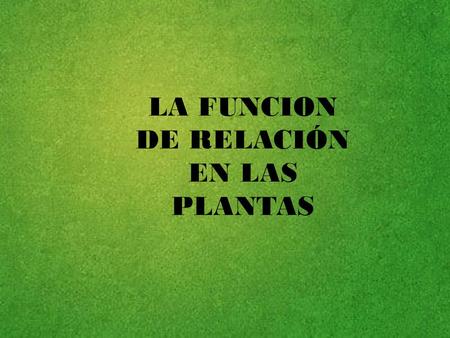 LA FUNCION DE RELACIÓN EN LAS PLANTAS