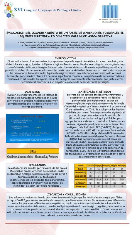 DISCUSION Y CONCLUSIONES