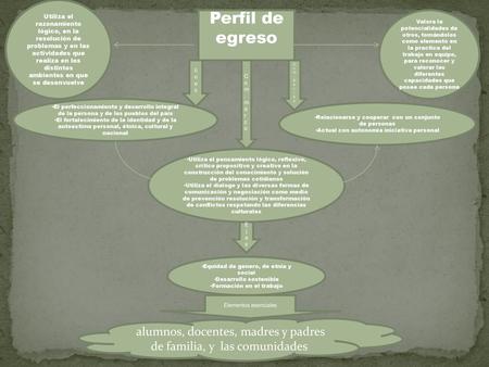 Utiliza el razonamiento lógico, en la resolución de problemas y en las actividades que realiza en los distintos ambientes en que se desenvuelve Perfil.