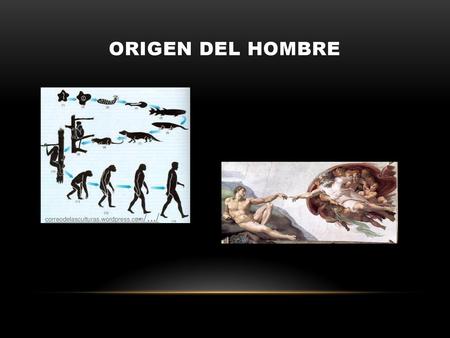 Origen del hombre correodelasculturas.wordpress.com/.../