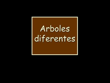 Arboles diferentes.
