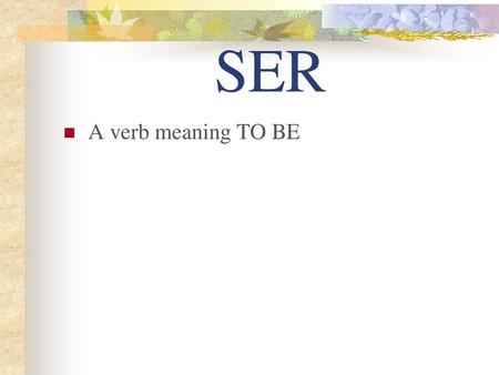 SER A verb meaning TO BE.